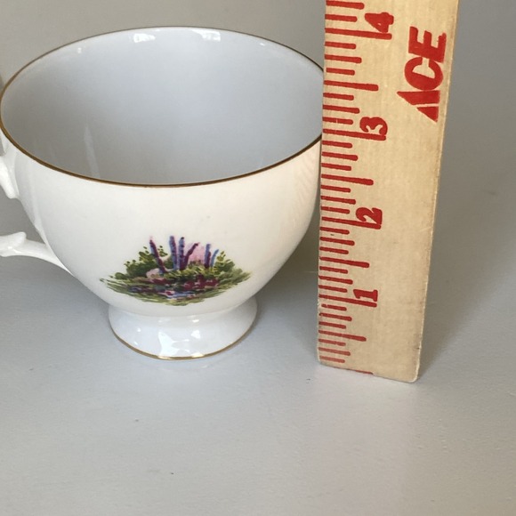 Vintage Royal Vale Teacup & Saucer Cottage Scene & Gardens - Bone China England - Picture 13 of 15